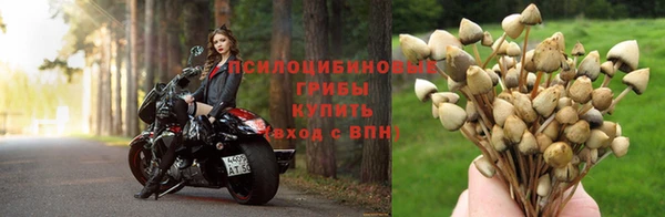 первитин Абинск