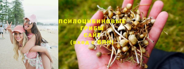 спиды Абдулино