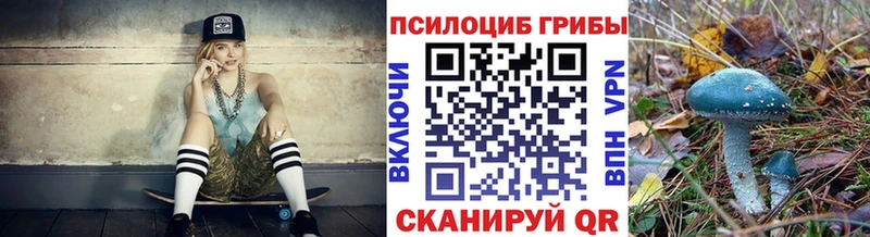 Псилоцибиновые грибы мухоморы  Суздаль 